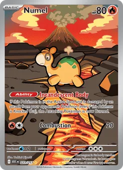 Numel