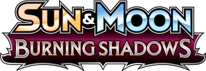 Logo Burning Shadows