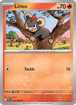Litleo