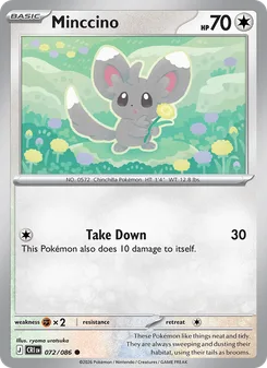 Minccino