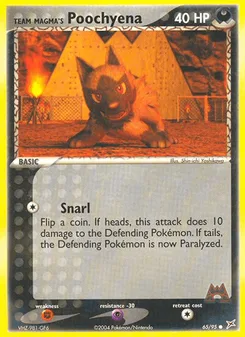 Team Magma's Poochyena