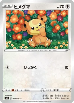 ヒメグマ