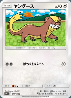 ヤングース