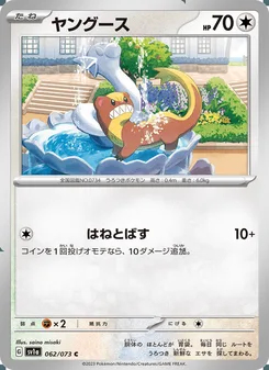 ヤングース
