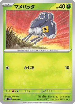 マメバッタ
