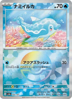 ナミイルカ